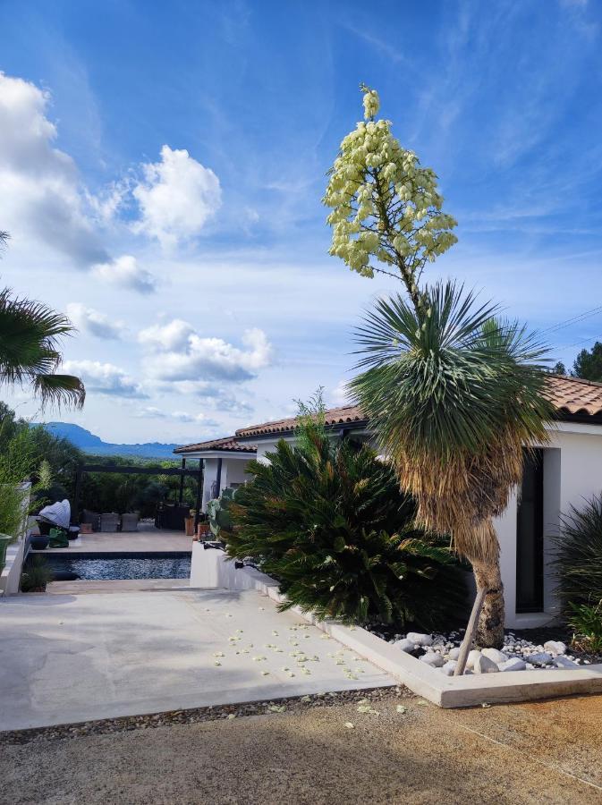 Joli Havre De Paix Villa Prades-le-Lez Kültér fotó