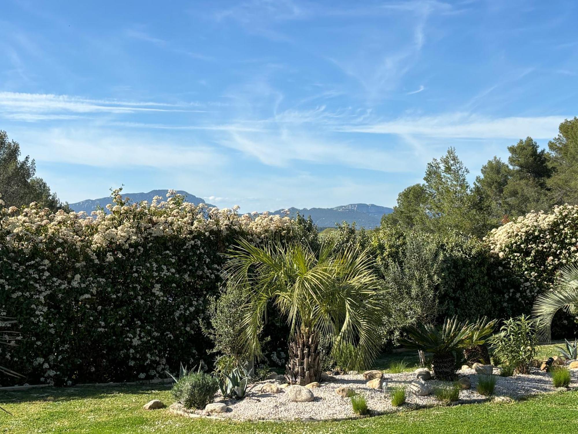 Joli Havre De Paix Villa Prades-le-Lez Kültér fotó